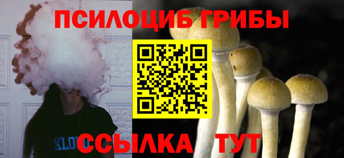 Псилоцибиновые грибы Psilocybe  цены   Похвистнево  Вход с VPN 
